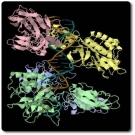 NF-kappa B, NF-{kappa}B, NF-kB, Nuclear Factor-Kappa B, Activation Assay Kit (Part No. NFKB-1)